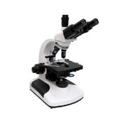 Microscopio binocular master 5