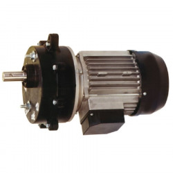Motorreductor fibra 1,5CV trif. 300 rpm 