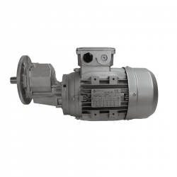 Motorreductor met 1CV trif. 300 rpm