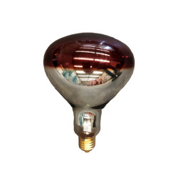 Bombilla infrarrojos 175W RI