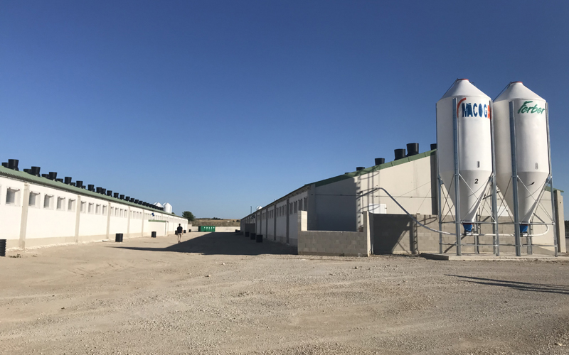 Qué te ofrece Macoga